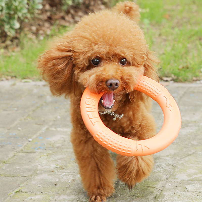 1 buah mainan anjing hewan pel - Indestructible Dog Chew Toy ulasan dan harga