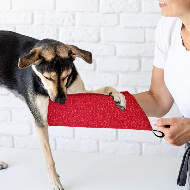 Lengan pelatihan anjing anak a - Interactive Squeaky Plush Dog Toy ulasan dan harga