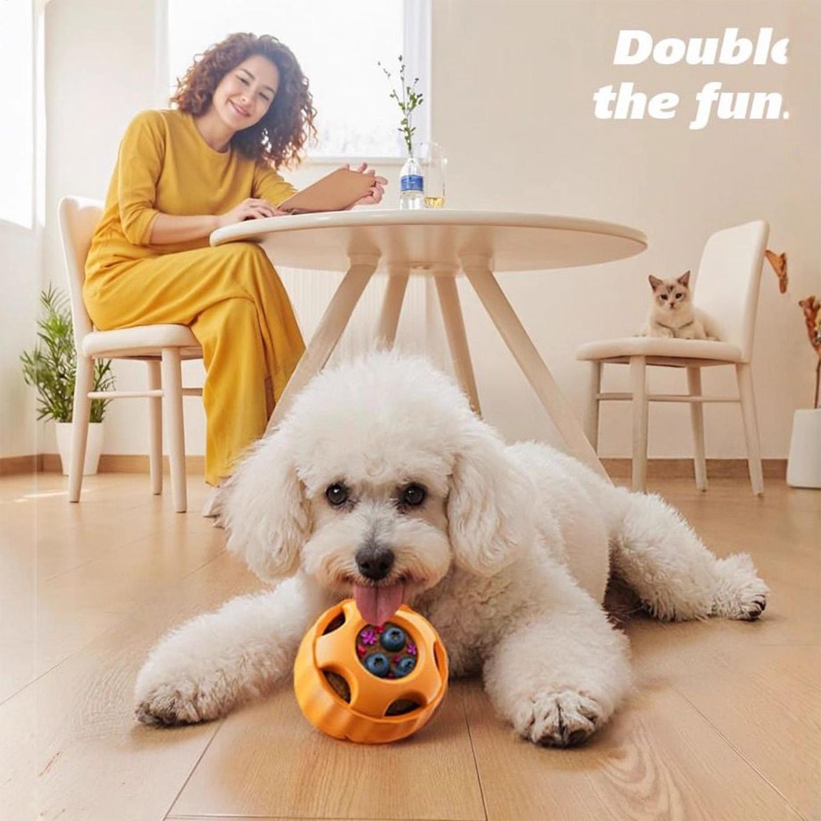Mainan Anjing Pengeluar Camila - Dog Puzzle Feeder Toy ulasan dan harga