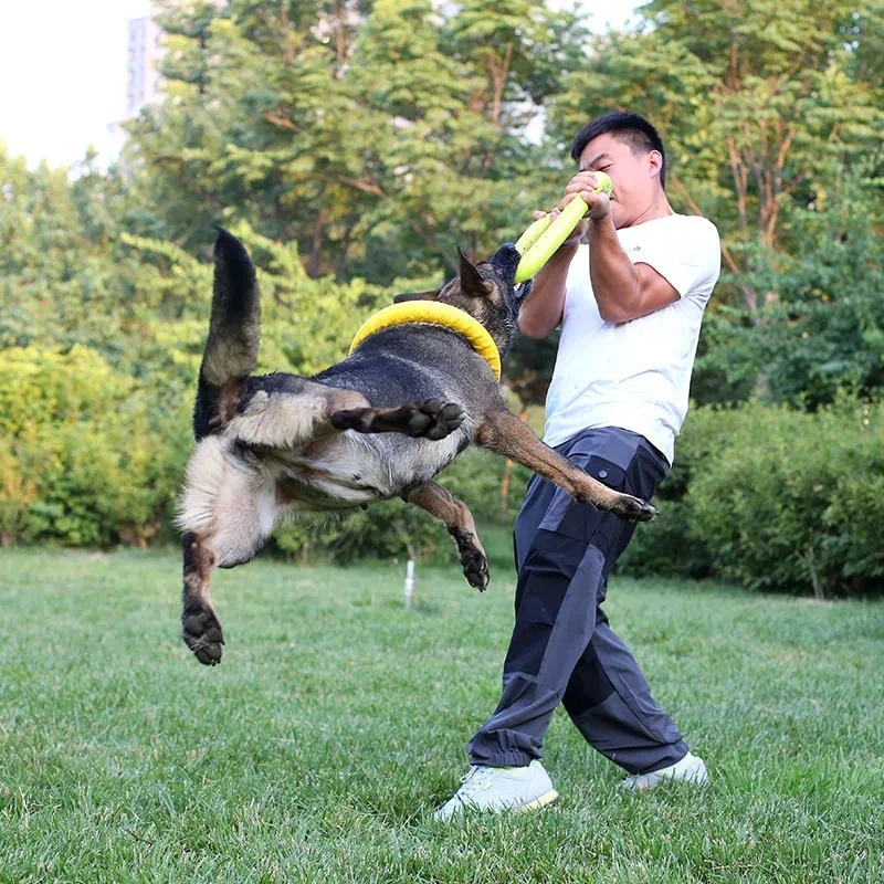 Mainan anjing hewan peliharaan - Indestructible Dog Chew Toy ulasan dan harga